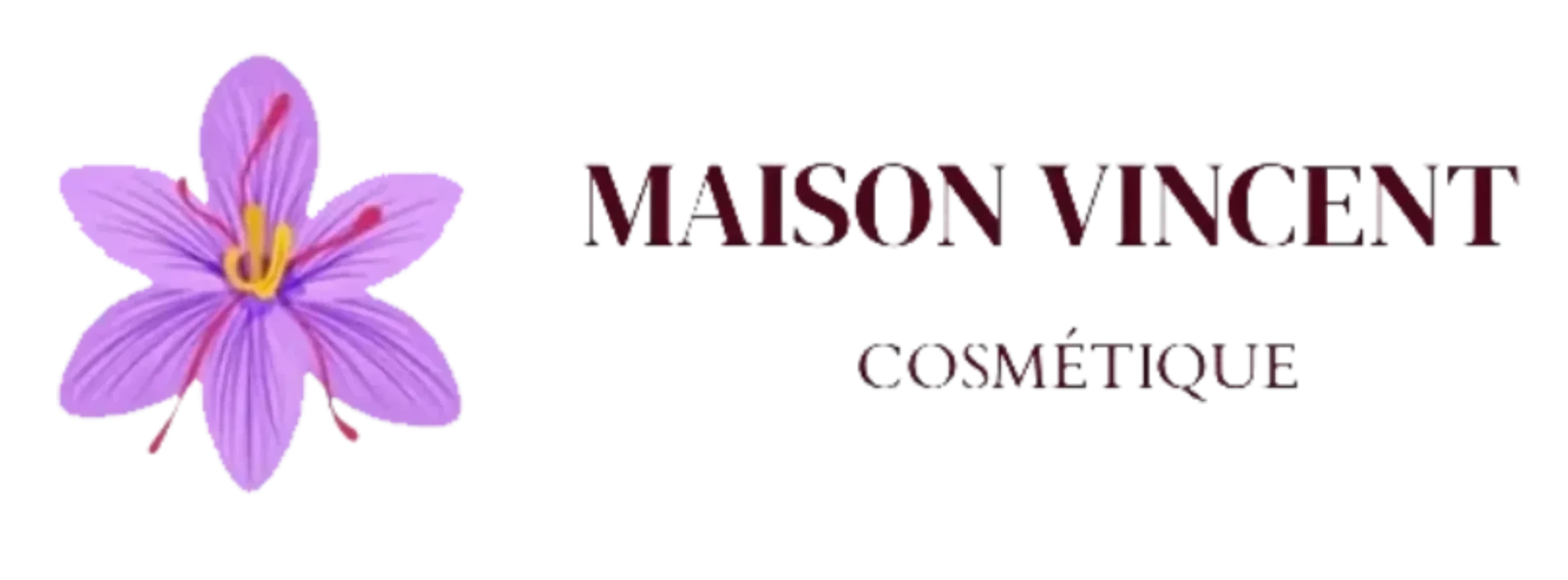 Maison VINCENT